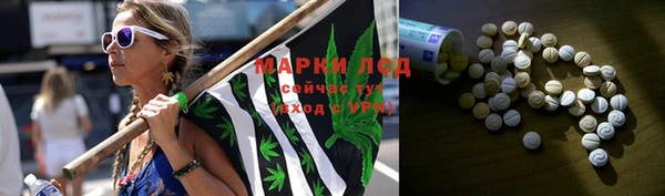стаф Абинск