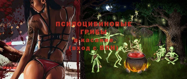 стаф Абинск