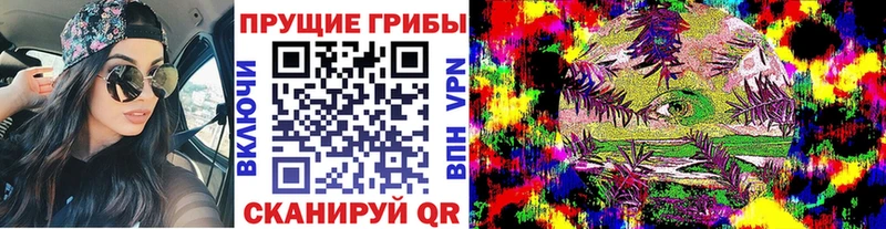 Псилоцибиновые грибы ЛСД  Усть-Катав 